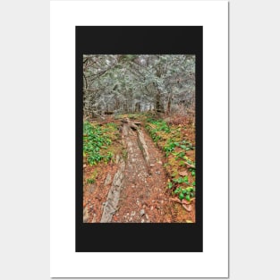 Frosted Appalachian Trail Posters and Art